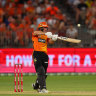 Scorchers accountant Hobson won’t quit his day job yet
