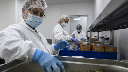 Israeli workers pack medical cannabis, at UNIVO Pharmaceuticals in the coastal city of Ashkelon, Israel, Jan. 16, 2022