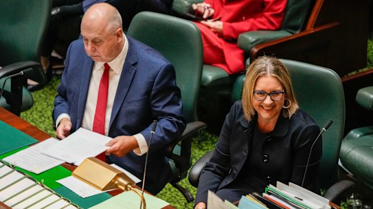 Treasurer Tim Pallas and Premier Jacinta Allan in parliament.