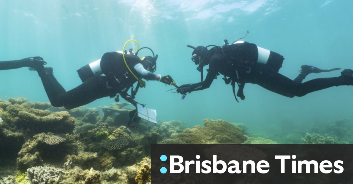 Coral bleaching recorded along WA coast as heat resilient reef projects start up - Vimarsana News
