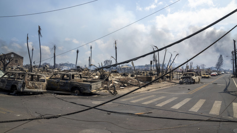 In search for Hawaii fires cause, lawyers probe power lines