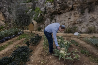Doron Spielman, vice president of the City of David Foundation, in the demonstration farm that is part of the tourist development. 