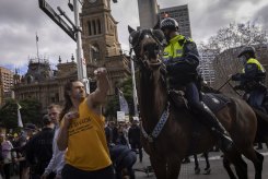 A man strikes a police horse during an anti-lockdown protest in Sydney on Saturday.