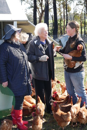 Mrs Cotterell takes a tour group to CharCol Springs pastured egg farm, Yanmah, WA. 