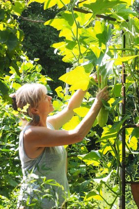 Bridget Kennedy in her garden.