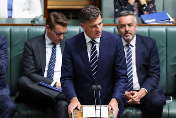 Opposition Leader Angus Taylor during question time today. 