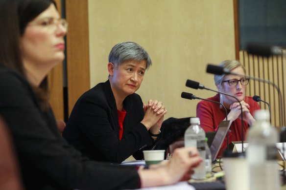 Senator Penny Wong during Senate estimates.