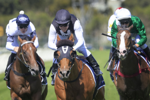 Isotope charges through the line to win the Darby Munro Stakes on Golden Slipper day last year.