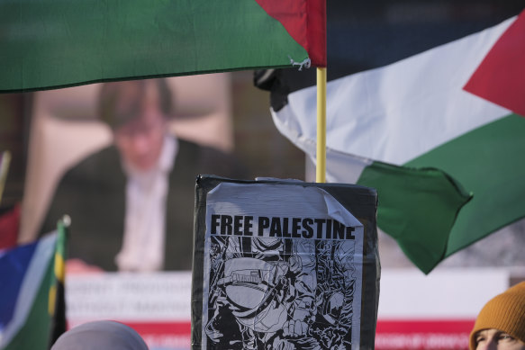 Pro-Palestinian activists wave flags during session of the International Court of Justice in The Hague.