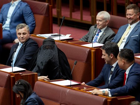 Pauline Hanson sits with her One Nation colleagues during a vote in the Senate.