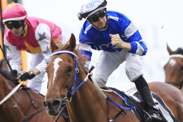 Jason Collett punches the air after winning last year’s Yes Yes Yes Stakes on Gytrash.