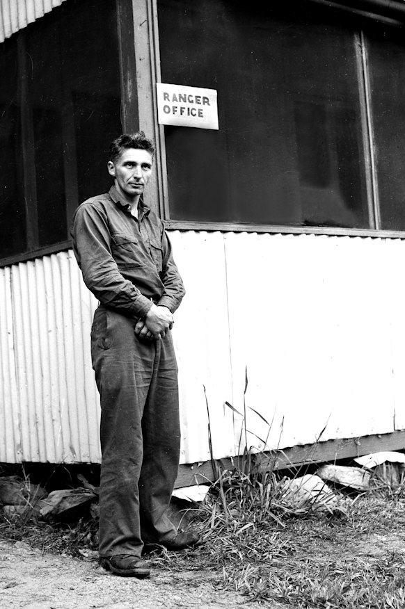 "Pictured is park ranger Colin Green, who stumbled upon Simmonds and was subsequently tied up."