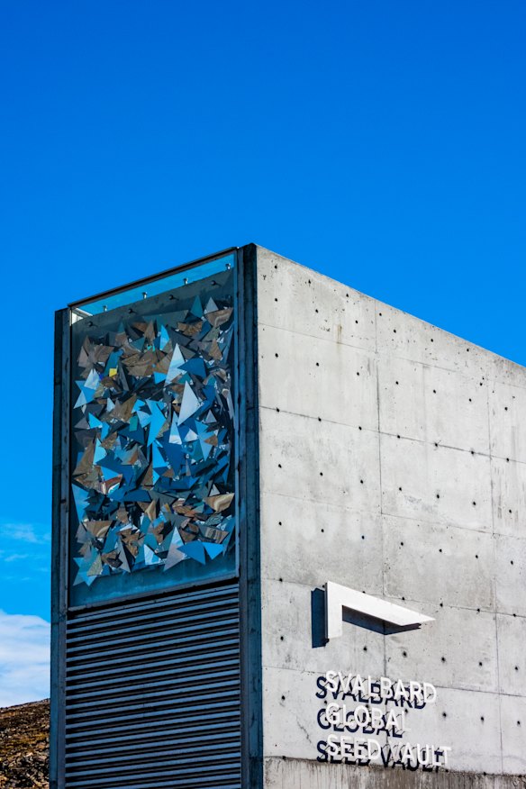 The world’s largest collection of seeds are stored here.