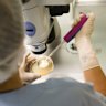 Monash IVF has cancelled some Queensland fertility treatments over concerns sperm donor records do not meet new identification requirements.