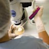 Monash IVF has blamed “human error” for the disaster.