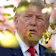 US President Donald Trump at the FIFA World Cup final in New Jersey on Sunday.