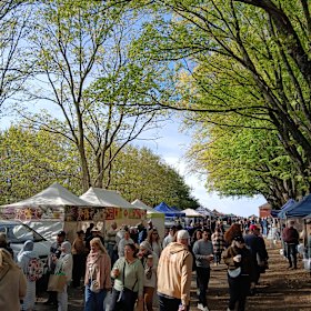 Be sure to stop by the bustling (and dog friendly) Daylesford Sunday market.