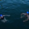 ‘Just a relief’: Swimmers rejoin the fish and jellyfish at Dawn Fraser Baths