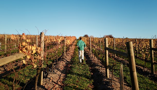 Nick Farr of 2022’s top winery, Wine by Farr.
