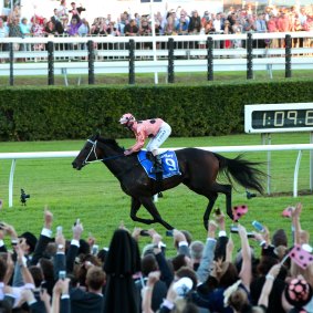 The great Black Caviar storms to her 25th and final win at Randwick in April 2013.