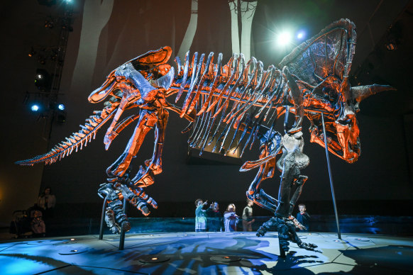 The dinosaur exhibition at the Melbourne Museum. Museums Victoria chief executive Lynley Crosswell says the collections inspire visitors to engage in “life’s deep mysteries and big questions”.