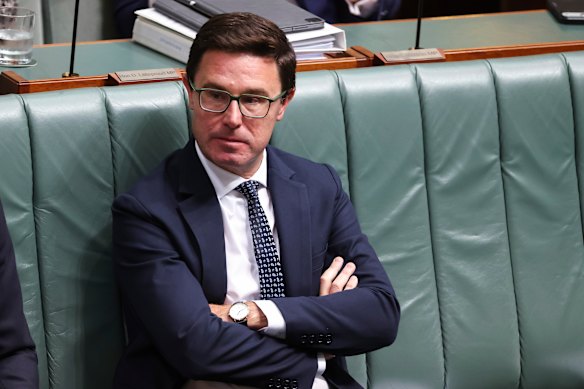 David Littleproud has called for Australia to “inject” itself into the conflict in the Middle East. 