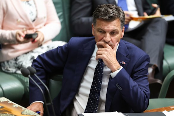Opposition Leader Angus Taylor.