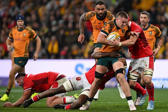 Charlie Cale runs into Wales’ defence in 2024.