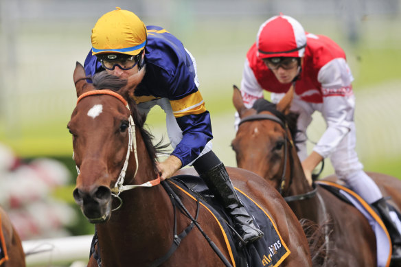 Masked Crusdaer can reveal his true ability in the Premiere Stakes.