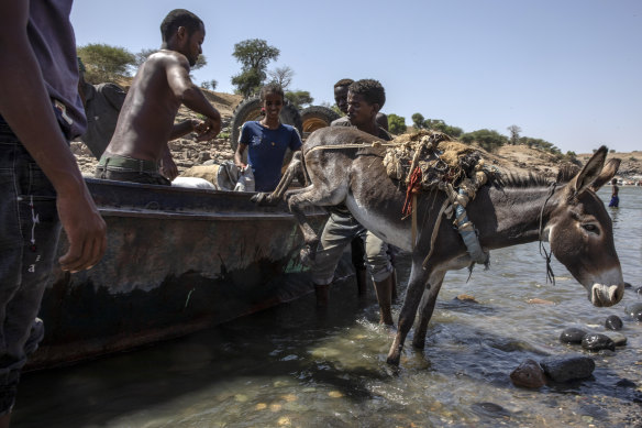 Tigray refugees who fled the conflict in the Ethiopia's Tigray arrive with their donkey on the banks of the Tekeze River on the Sudan-Ethiopia border, in Hamdayet, eastern Sudan, on Saturday, November 21.