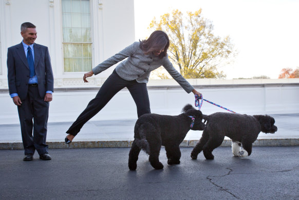 First lady Michelle Obama with her dogs Bo and Sunny at a Christmas reception at the White House in 2015. 