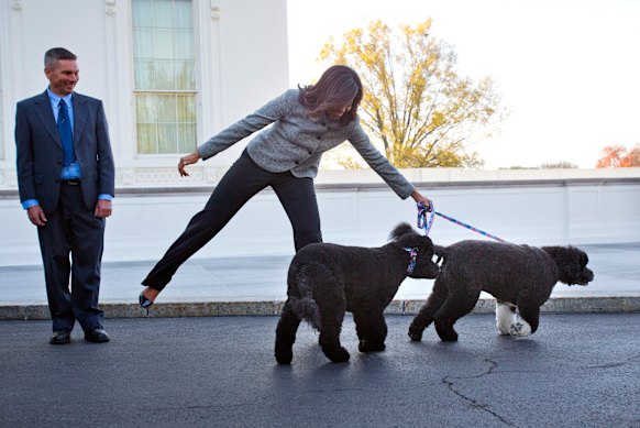 First lady Michelle Obama with her dogs Bo and Sunny at a Christmas reception at the White House in 2015. 