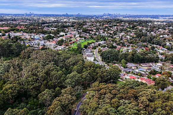 An aerial view of Evans Road at Carlingford, in Sydney’s “middle orbit”.
