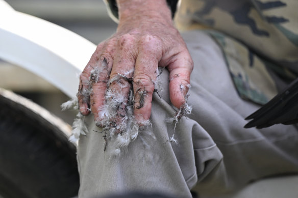 “We don’t shoot ducks for sport, we shoot ducks to eat,” says Barry Jane, who plucks and cooks the birds he catches.