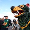 Tasmania Devils mascot Rum’un mixes with fans at a VFL match.