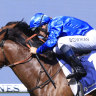 Godolphin’s stellar three-year-old team set for weight-for-age tests