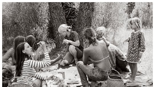 Mary Nolan, Family picnic under the sweet chestnut trees, Anduze, c1973.
