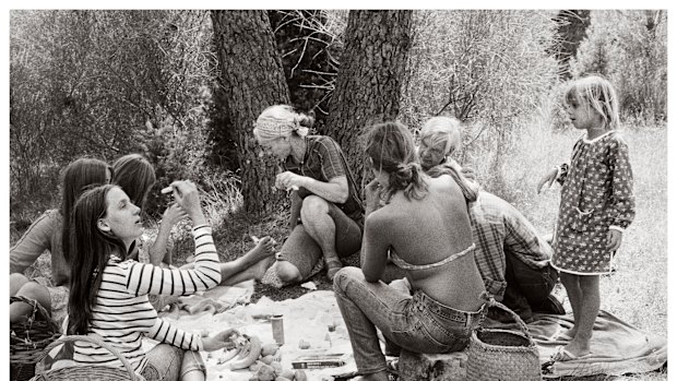 Mary Nolan, Family picnic under the sweet chestnut trees, Anduze, c1973.