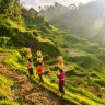 Balinese women in traditional dress, rice paddies … the real Bali.