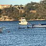 Kayakers return to the water near Blackwall Reach on Friday morning as Fisheries continue to patrol the area following a shark attack.
