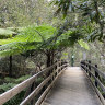 Many endangered species - including koalas, sugar gliders and birds - are found in the major green areas at Chermside and McDowall beside the original Trouts Road route.