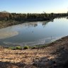 The major restocking program, will result in juvenile Murray cod, golden perch and silver perch being released.
