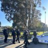 Police search Earlwood after mother gives birth and vanishes