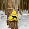 Walk Japan’s seven-day Snow Country tour means keeping an eye out for bears. 