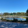Rozelle Parklands is due to open on Tuesday, but blue-green algae has now been discovered in the wetlands within the park.
