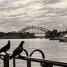 East Balmain ferry wharf 