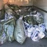More than 180 cannabis plants seized from Downer house