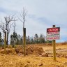 Mines clear more trees than logging in WA’s threatened forests