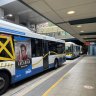 Buses at Mater Hill station on the first day of 50c fares in Brisbane.