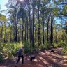 Bushwalking boom: How to avoid getting lost on WA’s trails